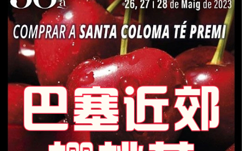 🚩活动丨巴塞罗那近郊小镇第38届樱桃节