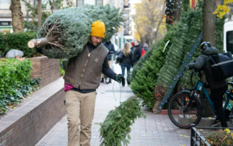 寒流来袭！纽约预计将飘雪！全年最冷的一天要来了！