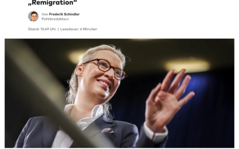德国选择党将在“再移民”问题上作出决定！