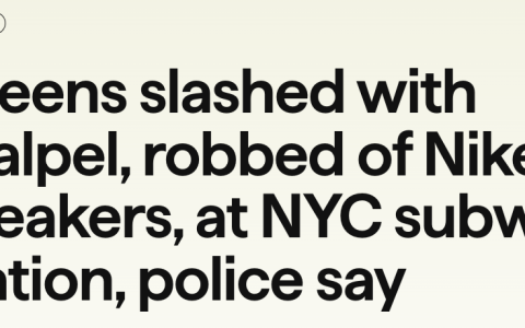 <p><strong>纽约地铁暴力：两少年遭手术刀砍伤，孕妇目击运动鞋抢劫案</strong></p>