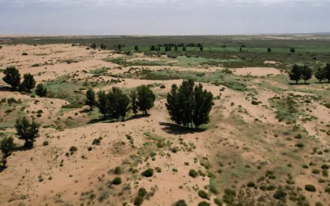 “中国‘绿色长城’计划成功造林9000万公顷，助力全球生态恢复与气候变化应对”