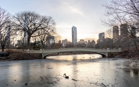 北极寒潮席卷纽约：气温骤降至冰点，风寒效应让体感温度跌破两位数！