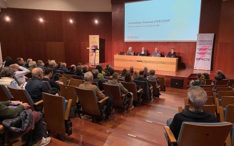 <p><strong>巴塞罗那新星：Penedès-Garraf社区能源合作社成立，计划为400户家庭提供清洁能源</strong></p>